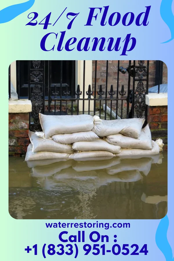 24/7 Flood Cleanup in Nevis, MN