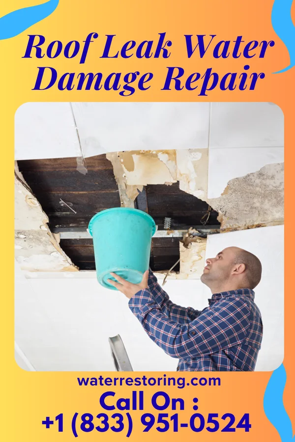 Roof Leak Water Damage Repair in Nevis, MN